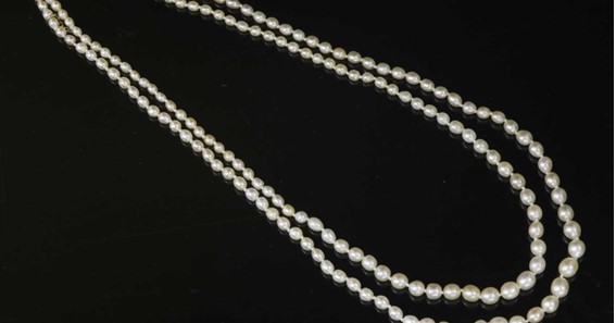 Saltwater Pearls