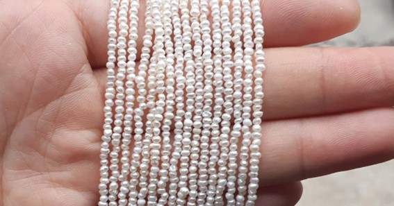 Seed Pearls