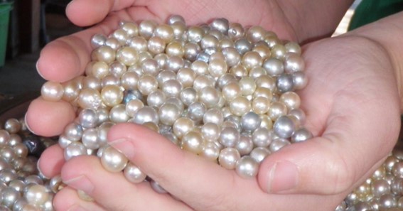 Natural Pearls