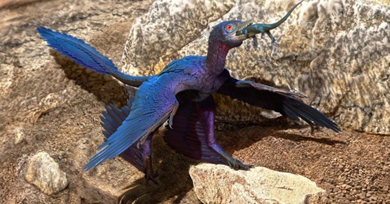Microraptor