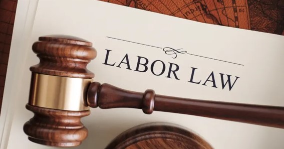 Employment And Labor Lawyer