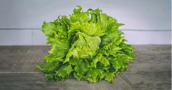 Looseleaf Lettuce