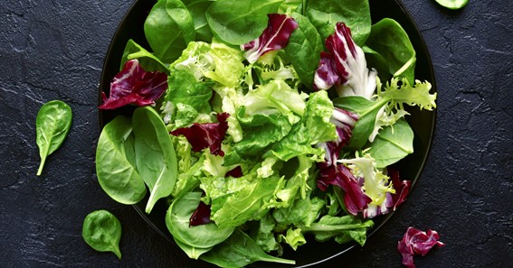 Top 15 Types Of Lettuce 